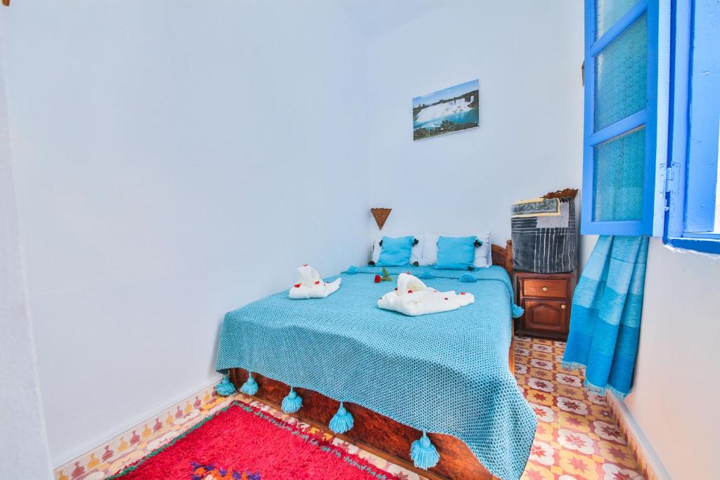 What's included in a kitesurf camp in Essaouira?
