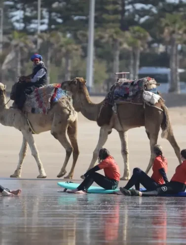 school-surf-essaouira (3)